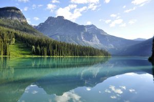 Lorem Ipsum is simply dummy text of the printing and typesetting industry. Lorem Ipsum has been the industry's standard dummy text ever since the 1500s, when an unknown printer took.