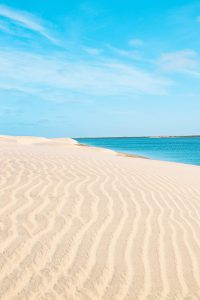 Lorem Ipsum is simply dummy text of the printing and typesetting industry. Lorem Ipsum has been the industry's standard dummy text ever since the 1500s, when an unknown printer took.