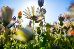 Lorem Ipsum is simply dummy text of the printing and typesetting industry. Lorem Ipsum has been the industry's standard dummy text ever since the 1500s, when an unknown printer took.